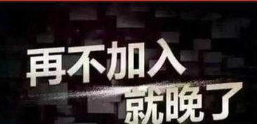 重磅新闻爆料人,揭秘事件背后惊人真相  第2张
